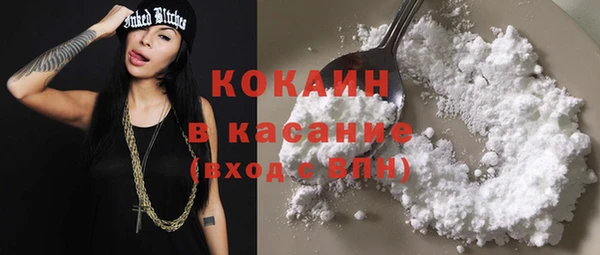 гашик Майский