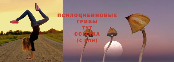 кокс Бородино