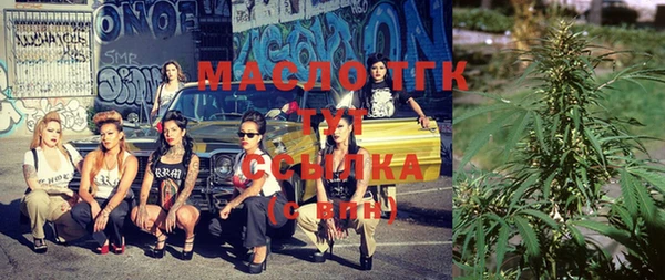 гашик Майский