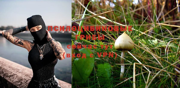 кокс Бородино