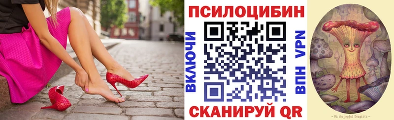 где купить наркоту  Венёв  Псилоцибиновые грибы Psilocybine cubensis 
